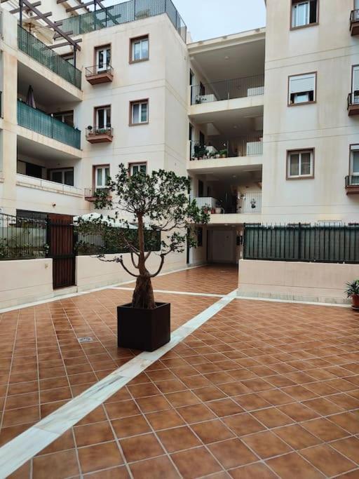 Appartement 66m2 Terrace 16m2 Sea View 200m From The *